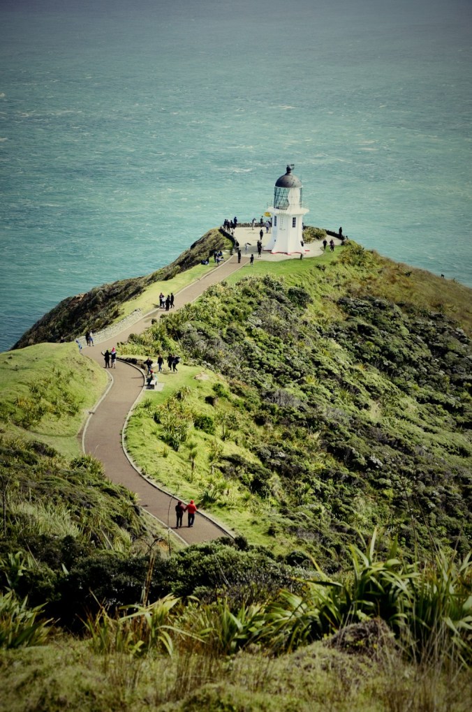 Fotor_144617236811312