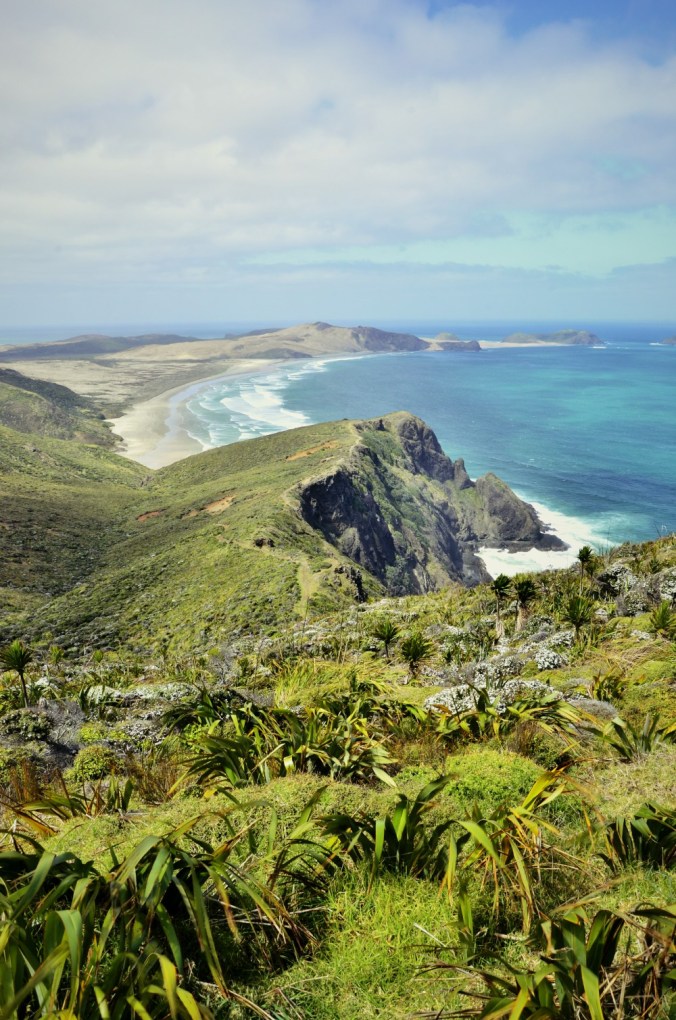 Fotor_144617310344252