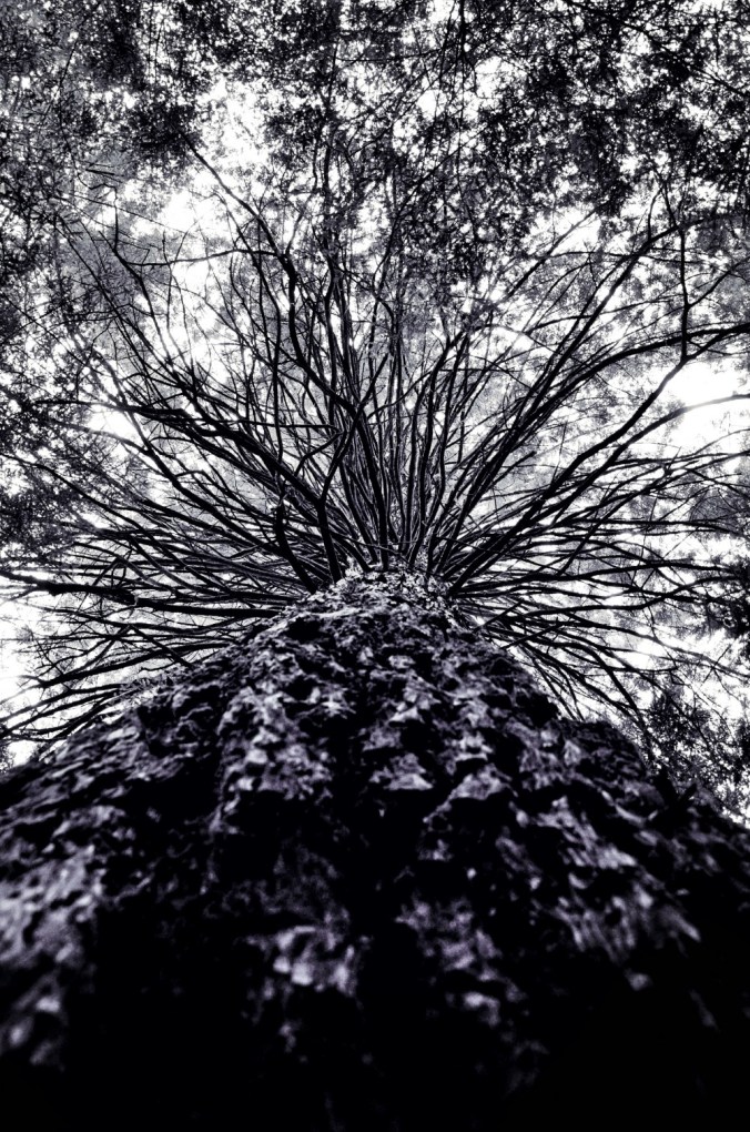 Fotor_144738452003985