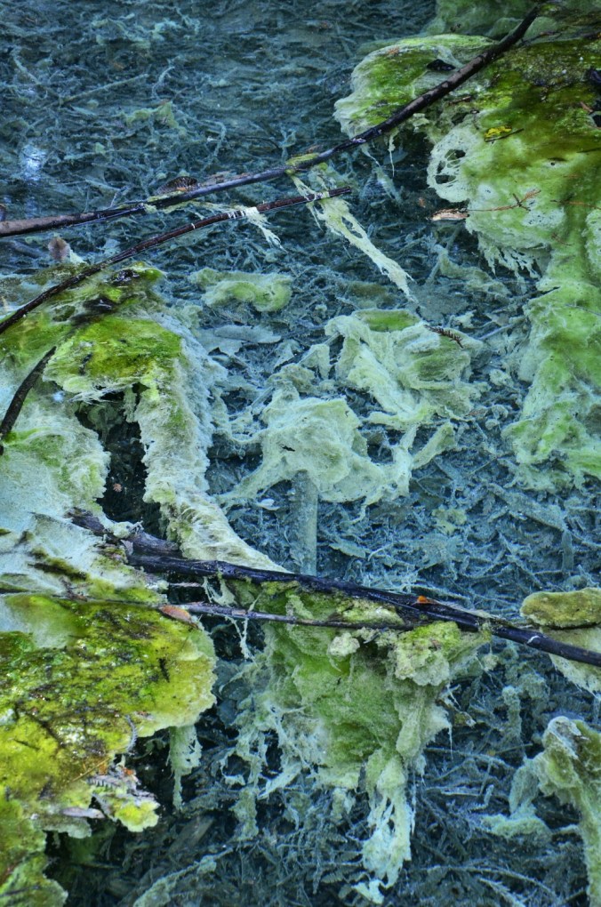 Fotor_144738504310789