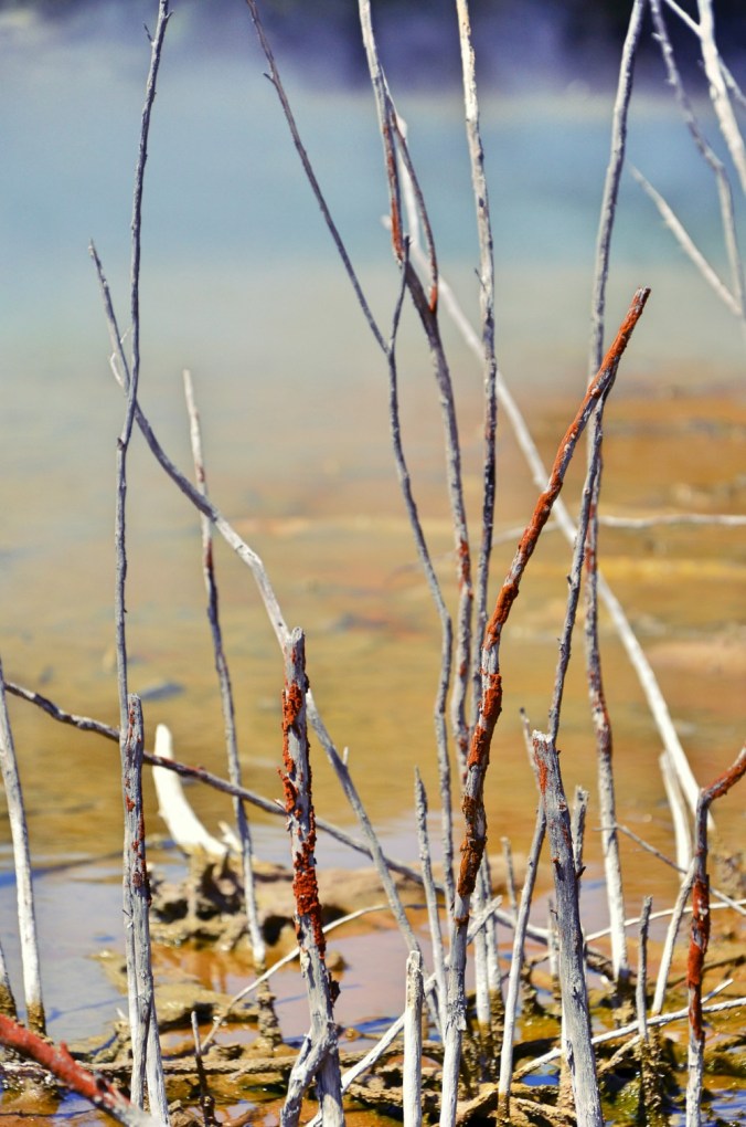 Fotor_144738542380969