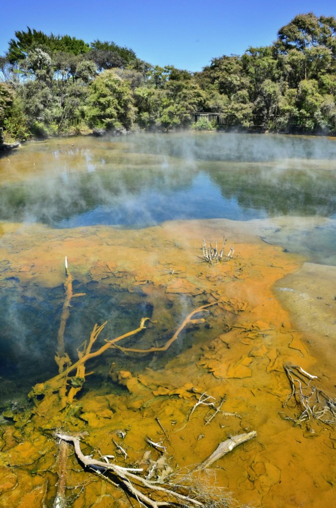 Fotor_144738595193882