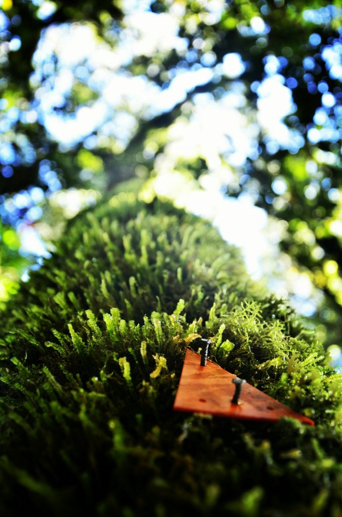 Fotor_144903981228030